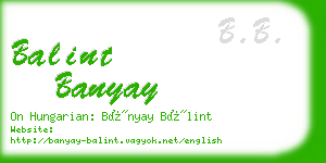 balint banyay business card